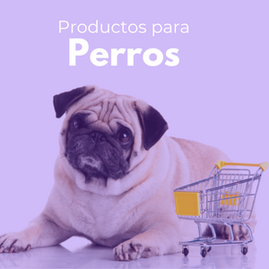 Productos para Perros