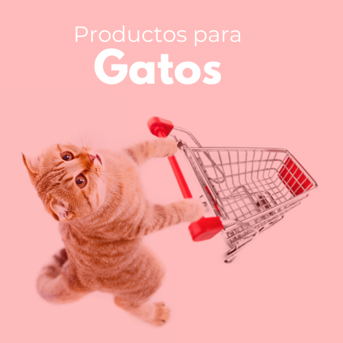 Productos para Gatos