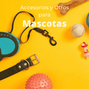 Accesorios y Otros